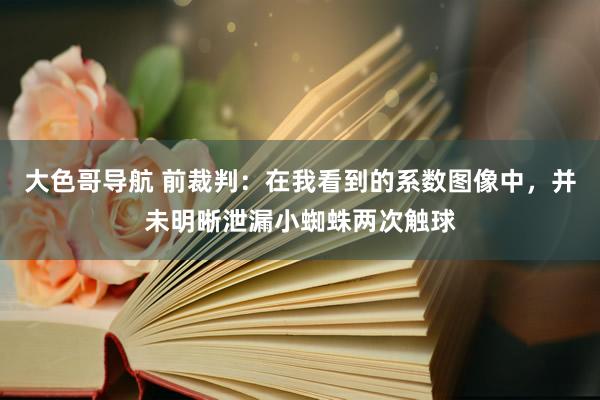 大色哥导航 前裁判：在我看到的系数图像中，并未明晰泄漏小蜘蛛两次触球